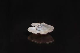 THE GREAT PEARL OF SALVATION