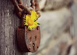 Too Precious to Lose