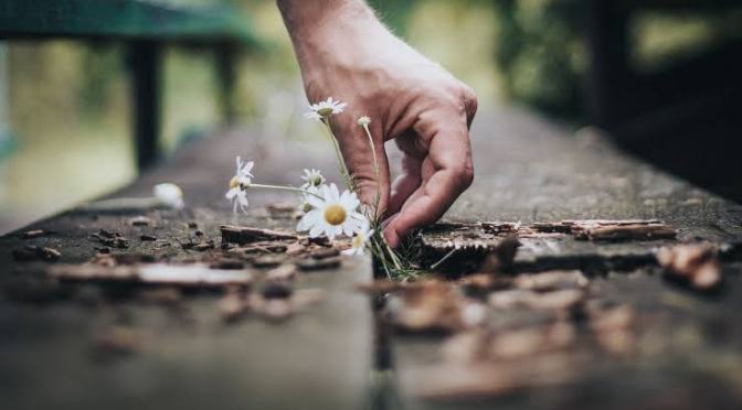 Poetry Today: Tragedy