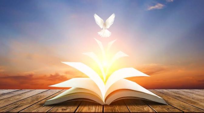 How to profit from The Bible